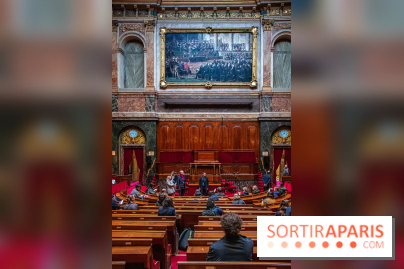 Le Château de Versailles : ouverture de plusieurs salles sur la IIIe République - DSC 2220