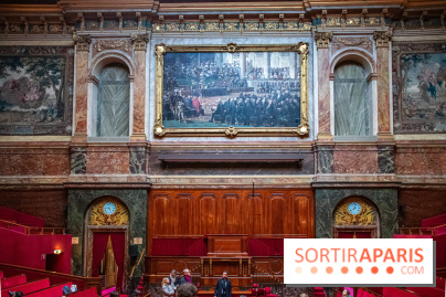 Le Château de Versailles : ouverture de plusieurs salles sur la IIIe République - DSC 2221