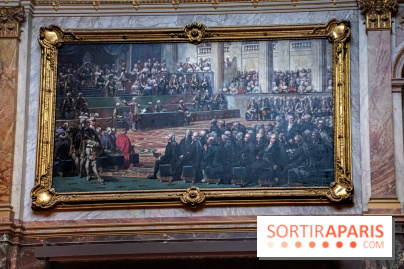 Le Château de Versailles : ouverture de plusieurs salles sur la IIIe République - DSC 2225