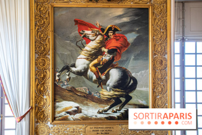 Le Château de Versailles : ouverture de plusieurs salles sur la IIIe République - DSC 2230