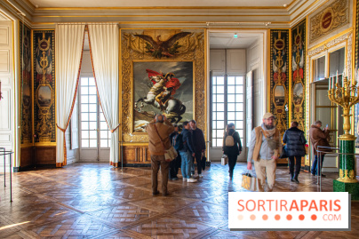 Le Château de Versailles : ouverture de plusieurs salles sur la IIIe République - DSC 2234