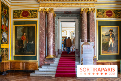 Le Château de Versailles : ouverture de plusieurs salles sur la IIIe République - DSC 2235