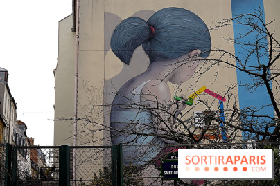 Les œuvres de Seth à Paris et en Île-de-France, nos photos - Seth 16