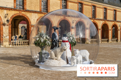 Le Château de Dampierre se transforme en station d'hiver pour les vacances de février -  A7C2233