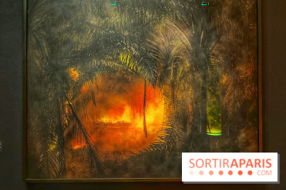 Paysages mouvants - IMG 8693