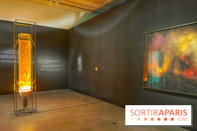 Paysages mouvants - IMG 8695