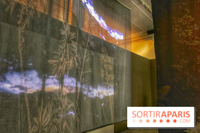 Paysages mouvants - IMG 8696