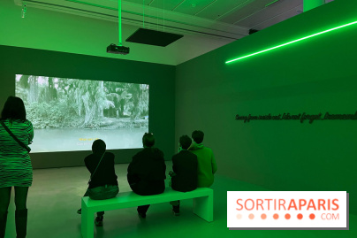 Paysages mouvants - IMG 8701