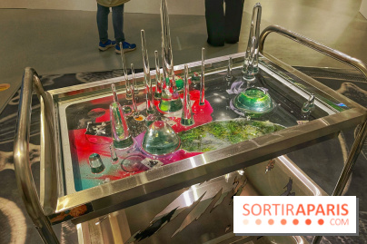 Paysages mouvants - IMG 8712