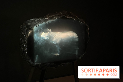 Paysages mouvants - IMG 8717