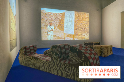 Paysages mouvants - IMG 8719