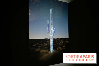 Paysages mouvants - IMG 8721