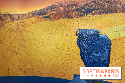 Paysages mouvants - IMG 8729