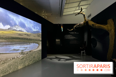 Paysages mouvants - IMG 8730