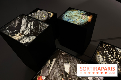 Paysages mouvants - IMG 8739