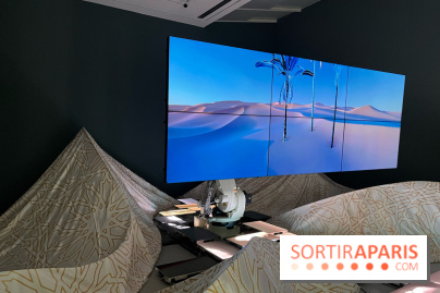 Paysages mouvants - IMG 8743