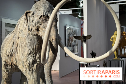 Art Capital 2025 - IMG 9628