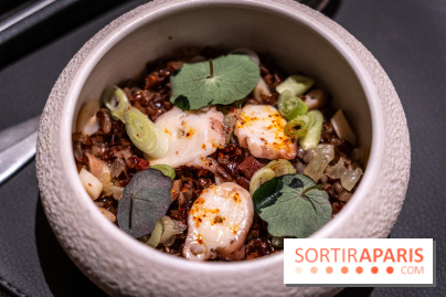 Le Baudelaire, restaurant étoilé du Burgundy par Mylo Levin - A7C02424