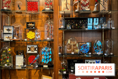 Deyrolle, l'incroyable cabinet de curiosités à Paris - nos photos