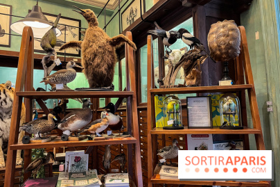 Deyrolle, l'incroyable cabinet de curiosités à Paris - nos photos