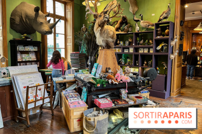 Deyrolle, l'incroyable cabinet de curiosités à Paris - nos photos