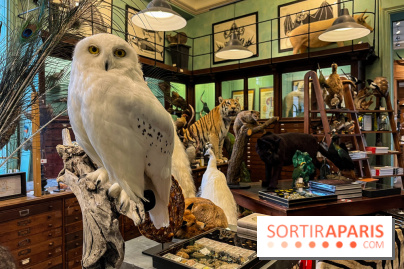 Deyrolle, l'incroyable cabinet de curiosités à Paris - nos photos - image00012