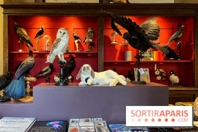 Deyrolle, l'incroyable cabinet de curiosités à Paris - nos photos
