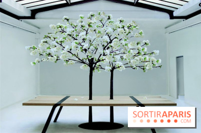 D'Days - Designer's Days 2013 ©Moaroom et compagnie