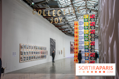 Collective Joy - Apprendre à Flamboyer, l'exposition joueyuse au Palais de Tokyo - DSC 2275