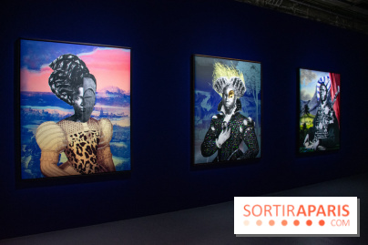 Raphaël Barontini : l'artiste au cœur d'une expo mode au Palais de Tokyo - DSC 2375