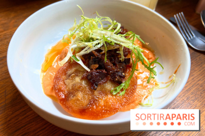 Brigade du Tigre - Wonton frits