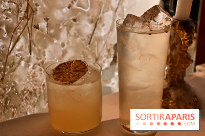 Ojii, l'excellent spot aux allures de bar tokyoïde à Paris - DSC 3538 Fotor