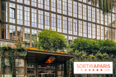 Reveal your Face - Brach Paris - image00001