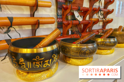 Zen and Sounds - IMG 8885