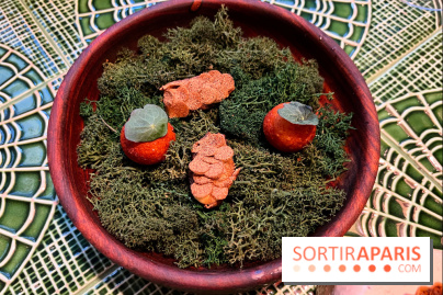 Le Christine - Topinambours soufflés, pomme dauphine