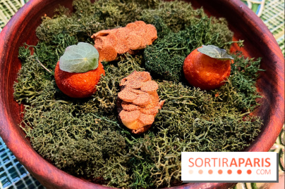 Le Christine - Topinambours soufflés, pomme dauphine