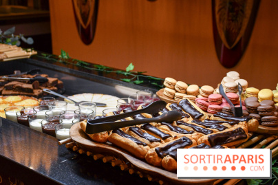 Le Royaume des Lions, l'hôtel immersif à la Lumigny Safari Reserve - nos photos - 3474CD00 598C 454B ABC6 29F88ECD9062