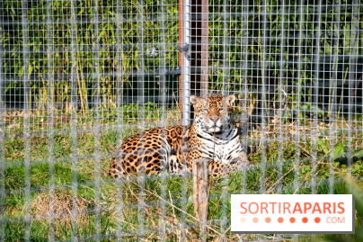 Lumigny Safari Reserve - nos photos - image00055