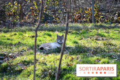 Lumigny Safari Reserve - nos photos