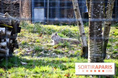 Lumigny Safari Reserve - nos photos - image00049