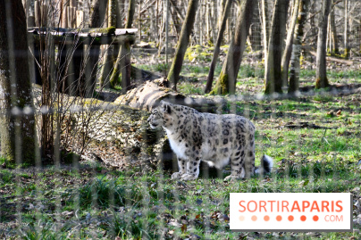 Lumigny Safari Reserve - nos photos - image00043