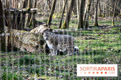 Lumigny Safari Reserve - nos photos