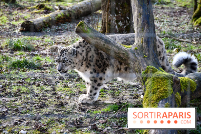 Lumigny Safari Reserve - nos photos