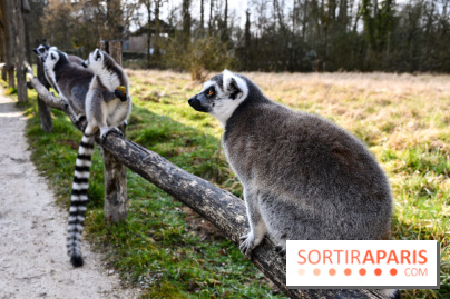 Lumigny Safari Reserve - nos photos - image00016