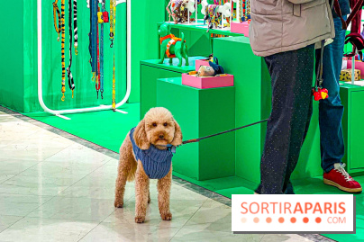 Je T'aime Comme Un Chien : food, mode, déco ... une expo qui a du chien au Bon Marché Rive Gauche - image00003