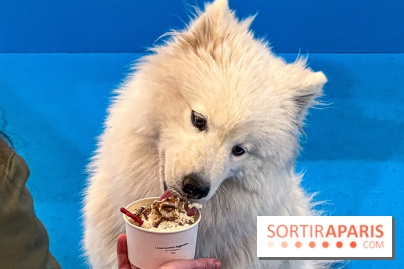 Je T'aime Comme Un Chien : food, mode, déco ... une expo qui a du chien au Bon Marché Rive Gauche - image00030