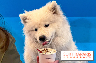 Je T'aime Comme Un Chien : food, mode, déco ... une expo qui a du chien au Bon Marché Rive Gauche - image00031