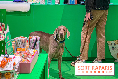 Je T'aime Comme Un Chien : food, mode, déco ... une expo qui a du chien au Bon Marché Rive Gauche - image00060