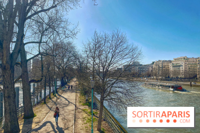 Île aux Cygnes - IMG 9064