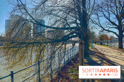 Île aux Cygnes - IMG 9071